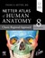 Netter Atlas of Human Anatomy Classic Regional Approach, 8th 